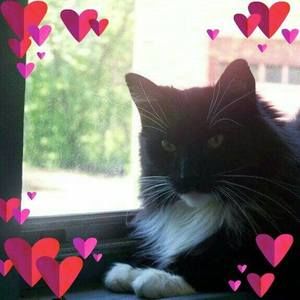 Meet your Posher, Lorijean